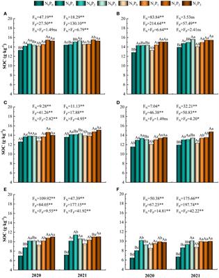 Optimizing nitrogen and phosphorus application to improve soil organic carbon and alfalfa hay yield in alfalfa fields